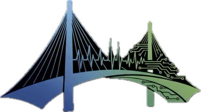 Mission & Goal – Bridge to Wellness Global Foundation