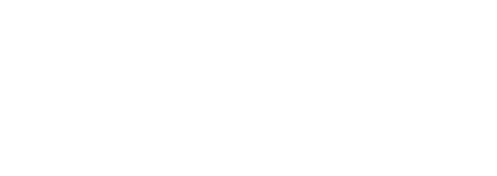 Bridge To Wellness logo
